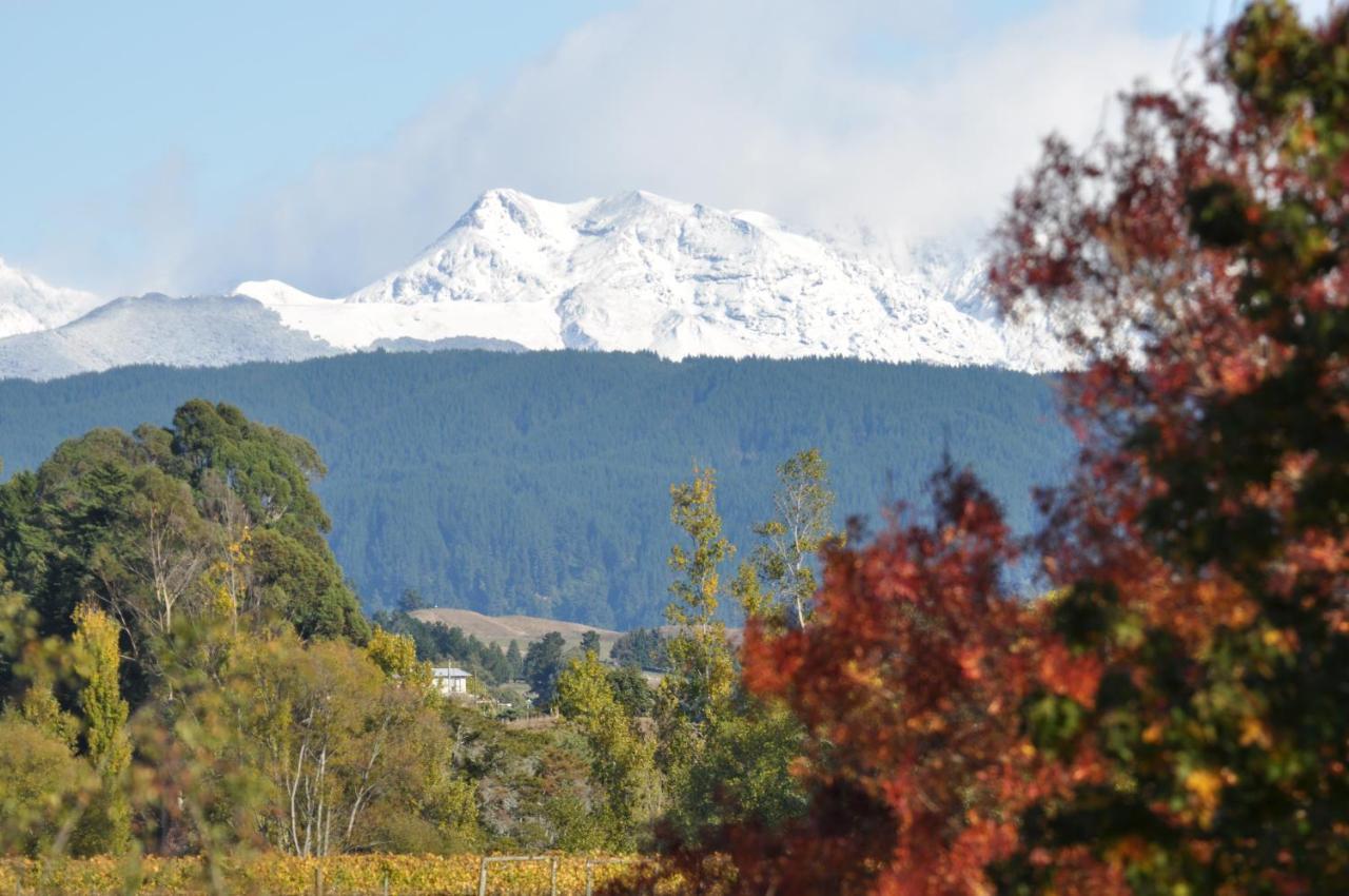 Pirita Vineyard Cottage. Upper Moutere Buitenkant foto