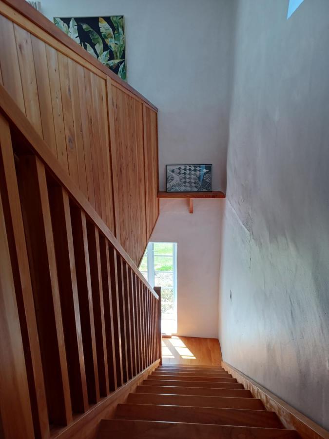 Pirita Vineyard Cottage. Upper Moutere Buitenkant foto