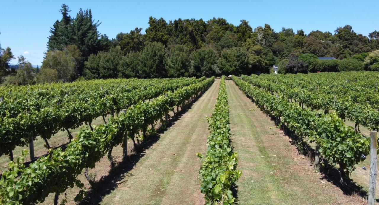 Pirita Vineyard Cottage. Upper Moutere Buitenkant foto
