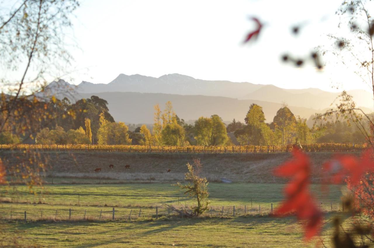 Pirita Vineyard Cottage. Upper Moutere Buitenkant foto